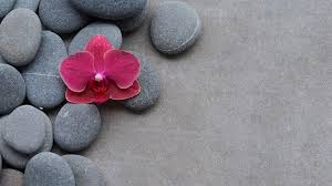 This image has an empty alt attribute; its file name is Stones-and-flower.jpeg